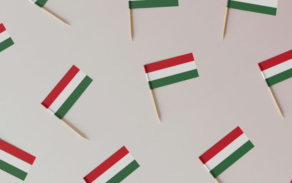 Fast and affordable internet in Hungary for migrants – easy setup, English support, no hidden fees.