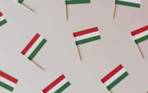 Fast and affordable internet in Hungary for migrants – easy setup, English support, no hidden fees.